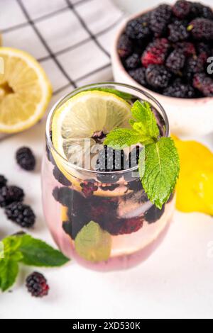 Limonade de mûrier ou cocktail mojito, boisson rafraîchissante glacée froide d'été avec citron, menthe et beaucoup de baies de mûrier fraîches Banque D'Images