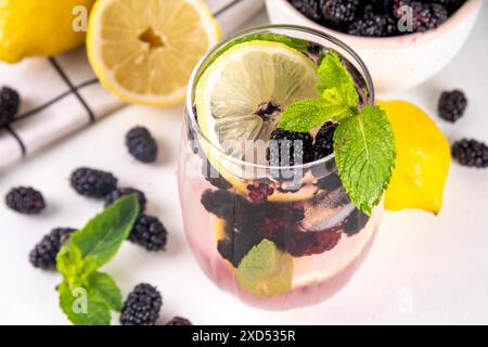 Limonade de mûrier ou cocktail mojito, boisson rafraîchissante glacée froide d'été avec citron, menthe et beaucoup de baies de mûrier fraîches Banque D'Images