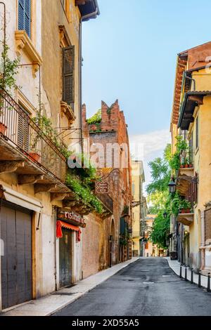 Vérone, Italie - 24 août 2014 : vue sur une rue étroite dans le centre historique de Vérone, Italie. Façades de maisons au soleil du matin. Banque D'Images