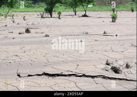 ETHIOPIE, région Sud Ethiopie, Arguba, inondations après de fortes pluies pendant des jours et une longue période de sécheresse détruit les champs avec maïs / ÄTHIOPIEN, Arguba, zerstörte mais Felder nach Starkregen und langer Dürre Banque D'Images