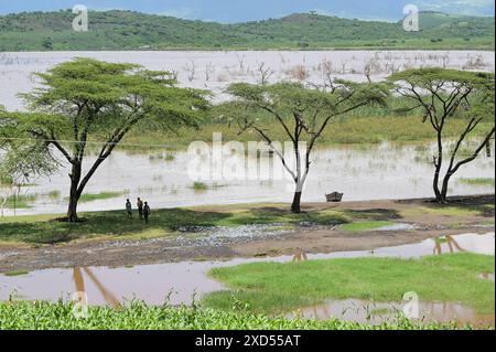 ETHIOPIE, région sud Ethiopie, inondations au lac Chamo / ÄTHIOPIEN, Region der südlichen Nationen, Nationalitäten und Völker, Arba Minch, Überschwemmung am Chamo See Banque D'Images