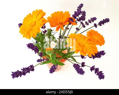 Fleurs colorées de souci et de lavande dans un bocal en verre vintage sur fond blanc. Banque D'Images