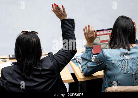 Berlin, Allemagne. 20 juin 2024. Les députés votent à main levée lors d'une session plénière à la Chambre des représentants de Berlin. Crédit : Fabian Sommer/dpa/Alamy Live News Banque D'Images