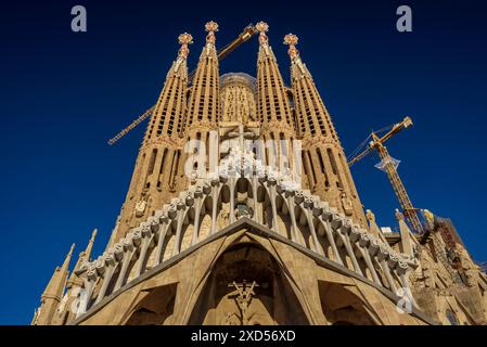 Passion façade de la Sagrada Familia, dans l'après-midi (Barcelone, Catalogne, Espagne) ESP : Fachada de la Pasión de la Sagrada Família, por la tarde Banque D'Images