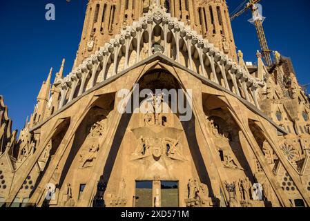 Passion façade de la Sagrada Familia, dans l'après-midi (Barcelone, Catalogne, Espagne) ESP : Fachada de la Pasión de la Sagrada Família, por la tarde Banque D'Images