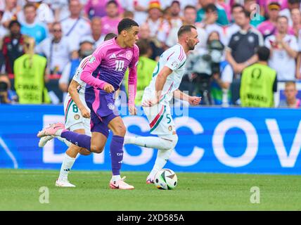 Stuttgart, Allemagne. 19 juin 2024. Jamal Musiala, DFB 10 Competition for the ball, Tackling, duel, header, zweikampf, action, lutte contre Attila Fiola, HUN 5 dans le match de la phase de groupes ALLEMAGNE - HONGRIE 2-0 des Championnats d'Europe de l'UEFA 2024 le 19 juin 2024 à Stuttgart, Allemagne. Photographe : ddp images/STAR-images crédit : ddp Media GmbH/Alamy Live News Banque D'Images