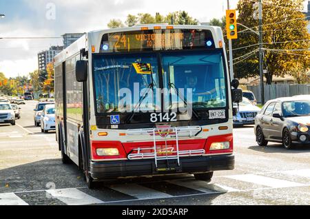 TTC conduite d'autobus dans la circulation, Toronto, Canada Banque D'Images