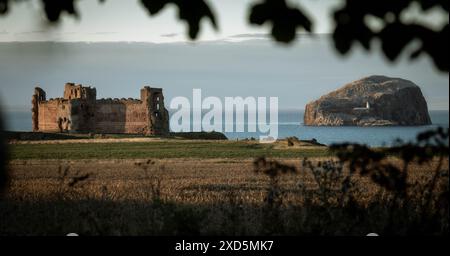 Vue panoramique sur le château de Tantallon, près de North Berwick, en Écosse, avec Bass Rock à droite et encadré de feuillage Banque D'Images