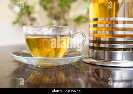 Thé vert dans une tasse de thé en verre et soucoupe avec théière presse française sur le côté Banque D'Images