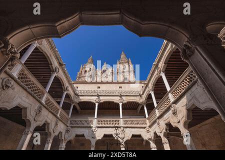 Espagne, Castille-et-Léon, Salamanque, Espagne, Castille-et-Léon, Salamanque, Espagne, Castille et Léon, Salamanque, Casa de las Conchas ou Maison des coquillages, construite de 1493 à 1517 par Rodrigo Arias de Maldonado et décorée de plus de 300 coquillages, cour intérieure du bâtiment avec les tours de l'église la Clerecía derrière. Banque D'Images