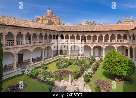 Espagne, Castille et Léon, Salamanque, Convento de las Duenas qui est un couvent dominicain construit aux 15ème et 16ème siècles, vue du cloître supérieur avec la cathédrale de Salamanque en arrière-plan. Banque D'Images