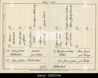 Itterbeck, Allemagne 3 novembre 2022 un 'Ahnentafel' tiré d'un document allemand datant d'environ 1933. Les ancêtres d'une personne dans une séquence fixe sont montrés. Toutes les personnes mentionnées dans ce document sont décédées Banque D'Images