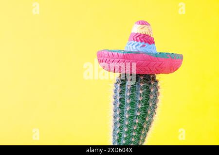 Cactus orné d'un sombrero coloré sur un fond jaune vif, dégageant une ambiance festive et vivante Banque D'Images