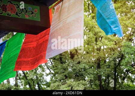 Les drapeaux de prière tibétains volent sur le vent sur fond d'arbres. Soleil visible à travers de nombreux drapeaux de prière bouddhistes. Banque D'Images