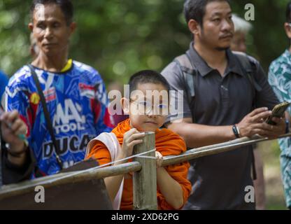 Chiang mai, Thaïlande. 20 juin 2024. Un moine thaïlandais observe pendant le festival. Le festival est unique et peu fréquenté par des étrangers, mais a lieu chaque année dans les contreforts de la montagne Doi Kham, pour rendre hommage à deux anciens esprits géants, pu SAE et ya SAE. (Photo de Pongmanat Tasiri/SOPA images/Sipa USA) crédit : Sipa USA/Alamy Live News Banque D'Images