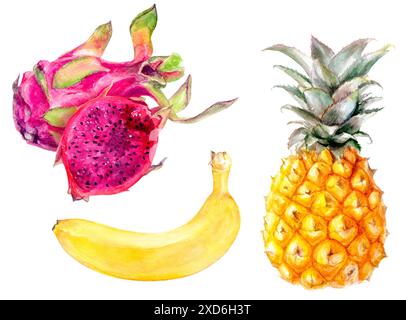 Une banane, un ananas et un fruit de dragon sur fond blanc Banque D'Images