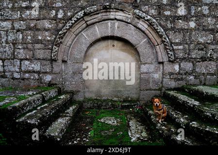 Église San Martiño de Couto, Taboada, Lugo, Espagne Banque D'Images