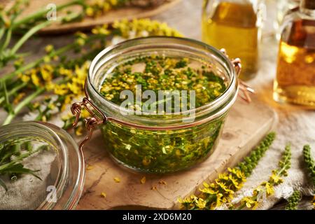 Préparation de teinture à base de plantes à partir de fleurs et de feuilles d'agrimony fraîches - macération de la plante dans l'alcool Banque D'Images