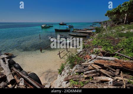 414 petits bateaux de pêche en bois amarrés à des piquets en bois dans le lagon dans le récif corallien à côté du village de Cabo Cruz, Granma Landing Park. Niquero-Cuba. Banque D'Images