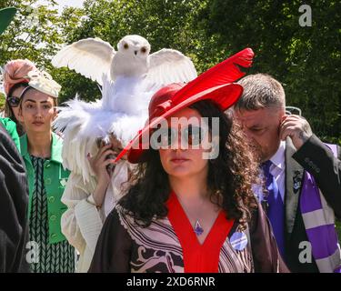 Ascot, Berkshire, Royaume-Uni. 20 juin 2024. Un chapeau de dame avec des plumes blanches et faux hibou attaché, qui a été vu plus tard pour avoir été démonté par le personnel d'Ascot, il semble que le chapeau a enfreint l'une des directives qui s'appliquent aux tenues. Courses hippiques le jour des dames (jour 3) de Royal Ascot. Dapper messieurs en tenue formelle et dames, souvent en robes et créations de chapeau élaborées peuvent être vus arriver et se mélanger avant d'aller aux courses. Crédit : Imageplotter/Alamy Live News Banque D'Images