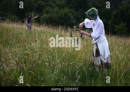 Cracovie, Pologne. 20 juin 2024. Une jeune fille cueille des plantes sauvages tout en célébrant le solstice d'été pendant la 'nuit de Kupala' près de la butte de Krakus à Cracovie, en Pologne, le 20 juin 2024. Le KupaÅ‚une nuit est la fête des vieux slaves tombant sur la nuit la plus courte de l'année. Au cours de cette nuit, des rituels ont été exécutés tels que la cueillette et la fabrication de couronnes à partir d'herbes et de fleurs sauvages par des filles et des jeunes femmes, l'envoi de guirlandes sur l'eau, l'allumage de feux, la danse, le chant et le saut par-dessus le feu. (Crédit image : © Beata Zawrzel/ZUMA Press Wire) USAGE ÉDITORIAL SEULEMENT! Non destiné à UN USAGE commercial ! Banque D'Images