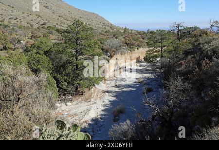 Eau salée - Parc national des montagnes Guadalupe, Texas Banque D'Images