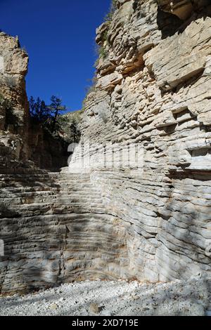 Couches dans la roche verticale - Devils Hall - Guadalupe Mountains NP, Texas Banque D'Images