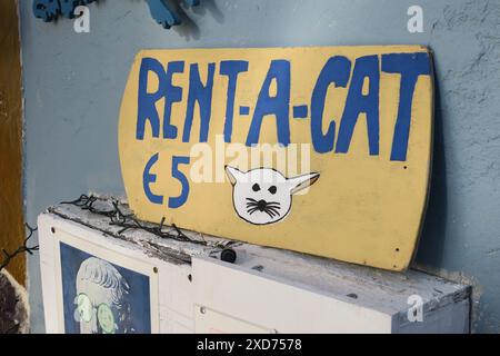 Chats errants de Grèce dans les rues. Banque D'Images