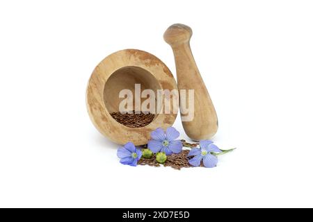 Mortier en bois rempli de petites graines de lin brun et une plante de lin bleu fleurit aux côtés de capsules rondes de fruits de lin isolées sur fond blanc Banque D'Images