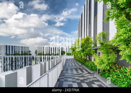 Magnifique jardin sur le toit. Terrasse extérieure pittoresque avec parc et belle vue sur la ville. Bancs modernes sous des arbres verts le long de la passerelle. Banque D'Images