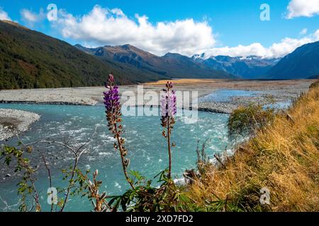 Rivière Waimakariri - Nouvelle-Zélande Banque D'Images