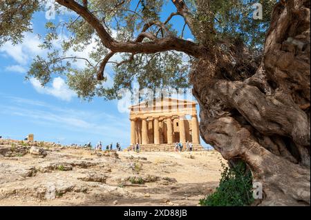 Visiter les touristes le Temple de Concordia dans la Vallée des temples à Agrigente, Sicile, Italie Banque D'Images