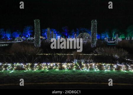 Les lumières brillantes de l'événement de la piste lumineuse de Noël, Noël à Trentham Gardens, Stoke-on-Trent, Staffordshire, Angleterre, Royaume-Uni Banque D'Images