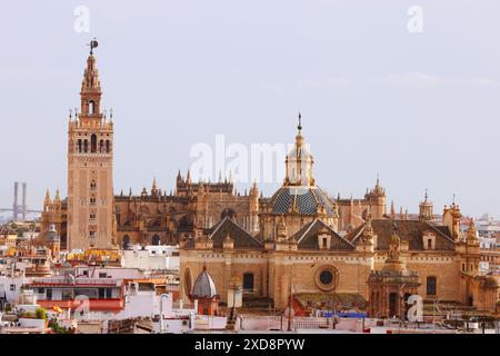 Kathedrale, Sevilla, Andalusien, Spanien, Giralda, Sevilla Kirche, die Kathedrale von Sevilla ist die größte gotische Kirche der Welt Banque D'Images