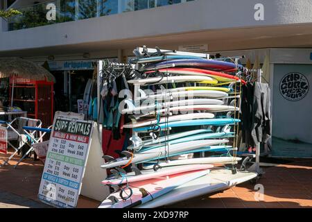 Location de planches de surf et magasin de location à Manly Beach, Sydney, NSW, Australie Banque D'Images