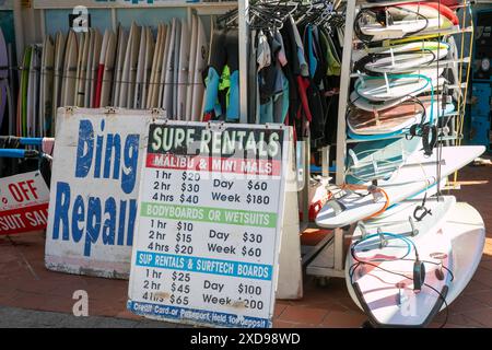 Magasin de location de planches de surf dans la banlieue de Manly Beach de Sydney, NSW, Australie, magasin effectue également des réparations de planches de surf et loue des combinaisons de plongée Banque D'Images