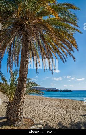 Palmeraie de Vai à Vai Beach, vide avant la haute saison, Pigeon Rocks (Peristerovrachoi) à distance, Sitia Geopark, baie d'Erimoupoli, mer Égée, est Banque D'Images