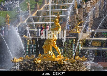 PETERHOF, RUSSIE - 13 JUIN 2024 : gros plan sur la fontaine de Samson. Peterhof Banque D'Images