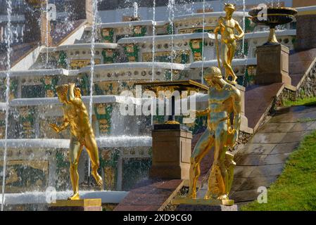 PETERHOF, RUSSIE - 13 JUIN 2024 : fragment de la Grande Cascade. Peterhof Banque D'Images