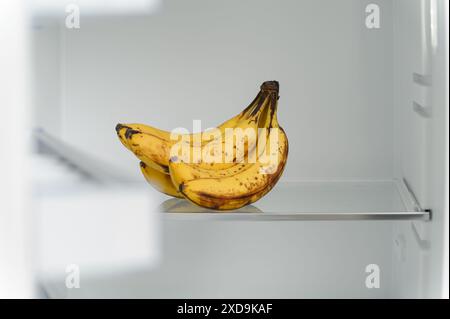 Un bouquet de bananes mûres dans un réfrigérateur vide. Un bouquet de bananes mûres dans un réfrigérateur vide. Vue à travers la porte ouverte du réfrigérateur. Banque D'Images
