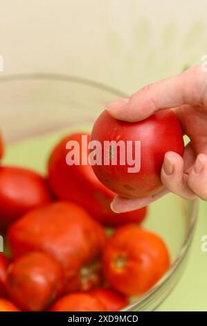 La main d'une femme prend une délicieuse tomate mûre dans un bol en verre. Banque D'Images