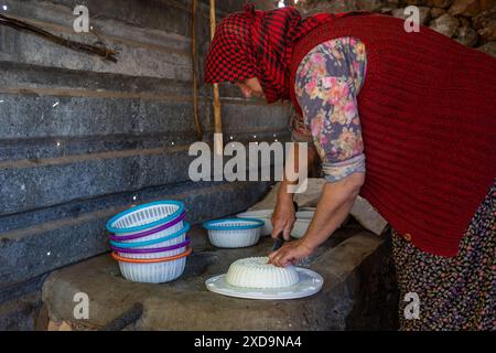 20 juin 2024 : Izmir, Turquie le 20 juin 2024 : Binnaz Sisman, propriétaire d'animaux et éleveur de Karaburun, produit du fromage tulum traditionnel local avec du lait frais de chèvres poilues. L'élevage de chèvres, élément important de l'ancienne culture nomade en Anatolie, poursuit sa tradition séculaire sur la montagne Akdag à Karaburun. La famille Sisman, qui gagne sa vie en élevant des chèvres, passe 6 mois par an dans une cabane sur le plateau d’Akdag à une altitude de 1200 mètres de chez elle. (Crédit image : © Tolga Ildun/ZUMA Press Wire) USAGE ÉDITORIAL SEULEMENT! Pas pour COM Banque D'Images