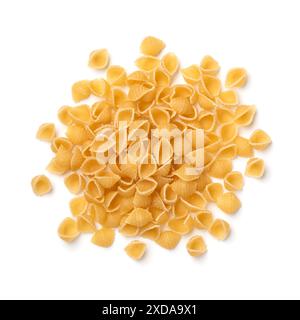 Tas de pâtes de coquille non cuites isolé sur fond blanc gros plan Banque D'Images