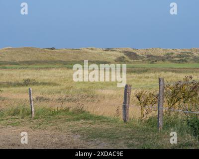 Vaste champ avec de l'herbe et une clôture en bois, derrière elle douces dunes sous un ciel dégagé, Juist, Frise orientale, Allemagne Banque D'Images