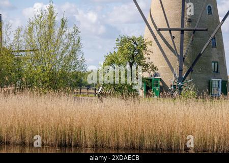 Gros plan de la partie inférieure d'un moulin à vent, entouré de roseaux et d'arbres, kinderdijk, pays-bas Banque D'Images