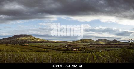 Vue panoramique sur les montagnes Badacsony et Szigliget sur la région Balatonfelvidék de Hongrie avec vignobles région viticole de Balaton au premier plan dur Banque D'Images