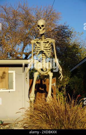 décoration squelette géant par la maison pour halloween à sacramento ca usa Banque D'Images