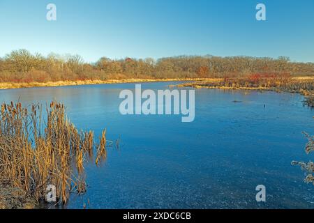 Étang gelé de terres humides par un matin froid dans la zone naturelle d'État de Volo Bog dans l'Illinois Banque D'Images