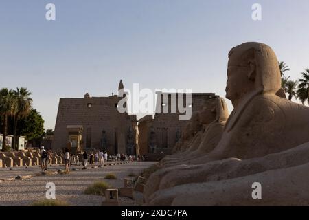 Vu au crépuscule, le temple de Louxor au bout de l'avenue des Sphinx, ou la route des festivités du roi, alias route des Rams, sur la rive est du Nil, en Egypte. Banque D'Images