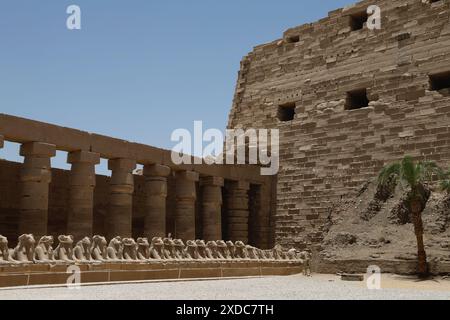 Le grand parvis du temple de Karnak, Louxor, Égypte avec une rangée de sphinx à tête de bélier devant la colonnade de l'ère Bubastid. Banque D'Images